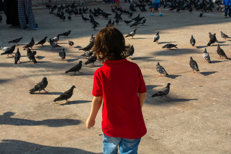 Little kid amid Lovely pigeon birds feed in an urban environmentの写真素材