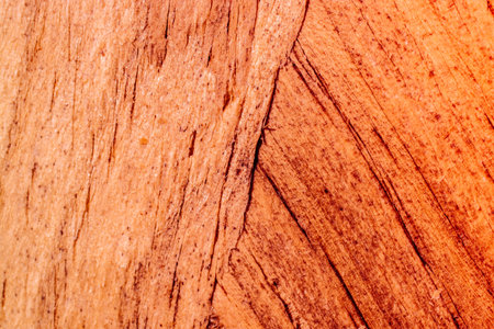 Wooden texture with natural patterns as a background