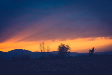 Sunset in countryside landscape in fields and countryside