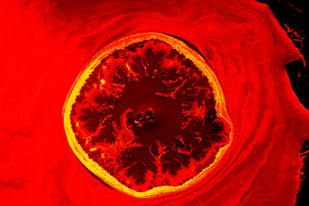 Abstract creative marbling pattern for fabric,  design background textureの写真素材