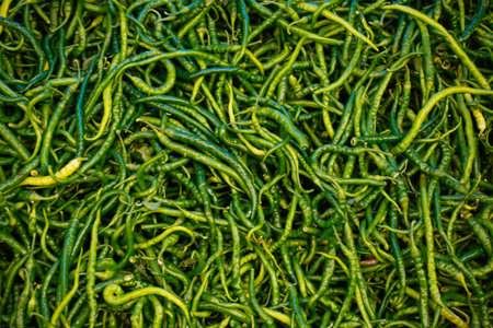 A Lot of green Chilli Peppers found as food backgroundの写真素材