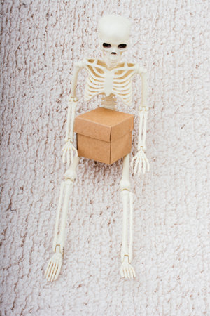 Human skeleton model  for medical anatomy science with cardboard boxの写真素材