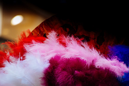 Beautiful colorful bird feathers for decorative purposes