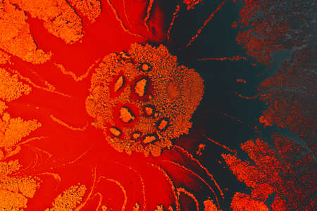 Creative ebru art background with  abstract paint.  Marbling texture floral patternsの写真素材