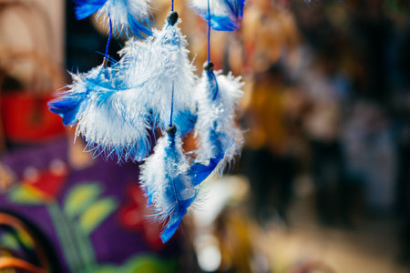 Beautiful colorful bird feathers for decorative purposesの写真素材