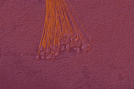 Bunch of dried flower placed on dark background