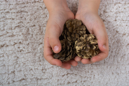 Little boy is holding pine cones in hand on white backgroundの写真素材