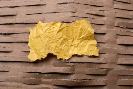 Piece of torn paper placed on plain backgroundの写真素材