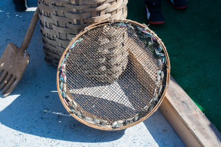 Traditional type sieves made of wood
