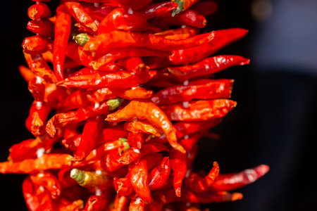 A Lot of hanging dried Red Chilli Peppers as background