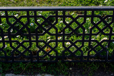 Part of decorative metal fence seen in viewの写真素材