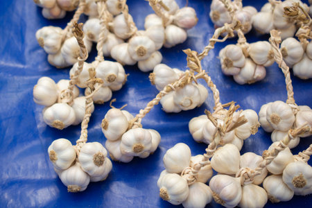 Fresh garlic cloves and garlic bulb for healthy eating.の写真素材