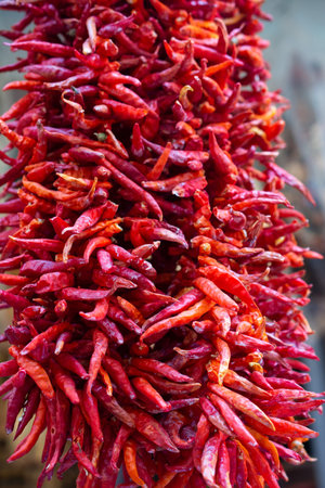 A Lot of hanging dried Red Chilli Peppers