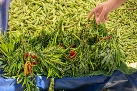 A Lot of green Peppers found as food backgroundの写真素材