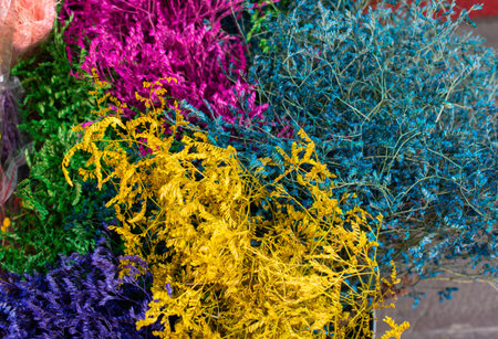 dyed dry colorful  flower for doceration purposes