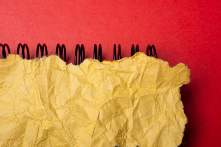 Piece of torn paper placed on plain background