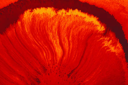 Abstract background of acrylic. Colourful rpaint dissolveの写真素材