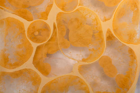 Ebru marbling handmade art, traditional Ebru technique. abstract background of marble liquid ink artの写真素材