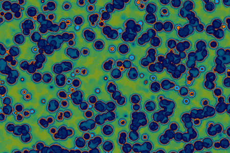 Fake microorganisms. microbiology. Bacteria, cells, viruses, germs, microorganisms.