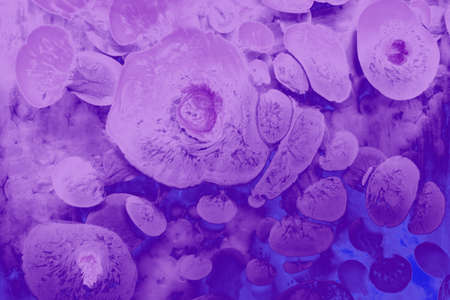 Abstract marbling floral pattern for fabric, tile design. background textureの写真素材