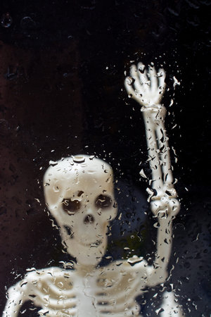 Human skeleton model  for medical anatomy science Medical clinic concept.