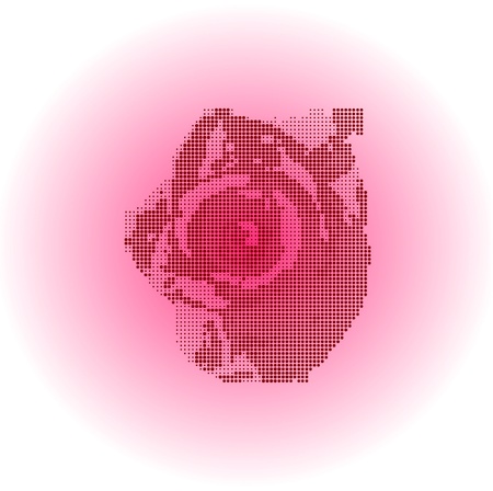 Vintage card with a flower. vector rose flower backgroundのイラスト素材