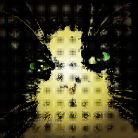 Catのイラスト素材