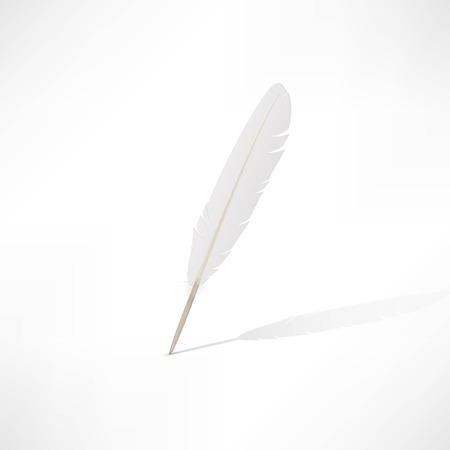 Vector white featherのイラスト素材