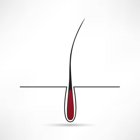 hair follicle treatment designのイラスト素材