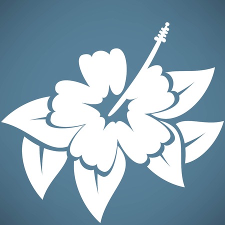 Hibiscus flowerのイラスト素材