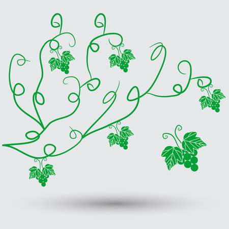 Eco iconのイラスト素材