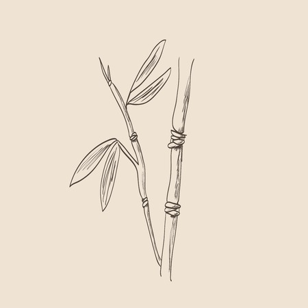 Bamboo Sketchのイラスト素材