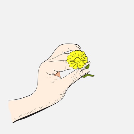 Female hand with camomileのイラスト素材