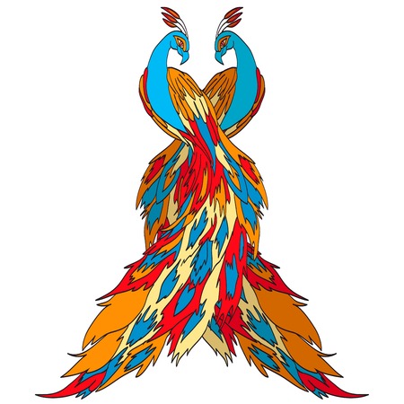 Peacock's tail. The background is whiteのイラスト素材