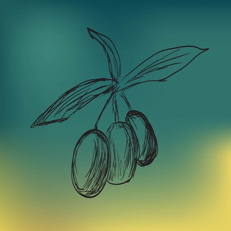 Olivesのイラスト素材