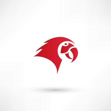Parrot - vector illustrationのイラスト素材
