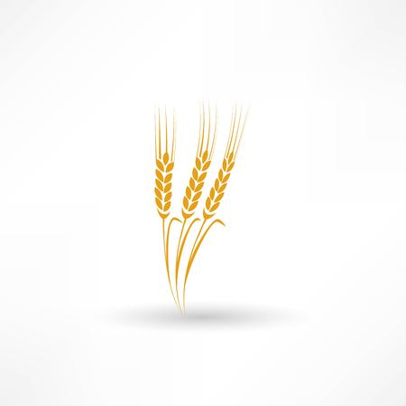wheat iconのイラスト素材