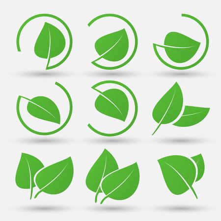 Green leaf icons set on white backgroundのイラスト素材