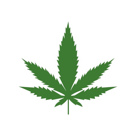 Marijuana or cannabis vector leaf isolated on white backgroundのイラスト素材