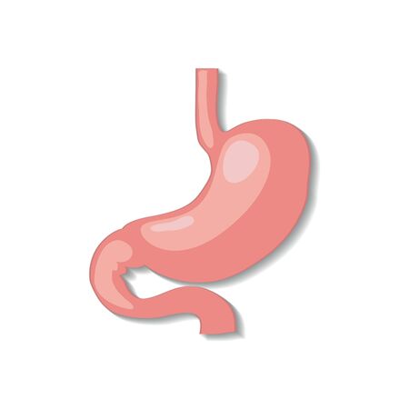 Cartoon stomach illustrations for doctors.のイラスト素材