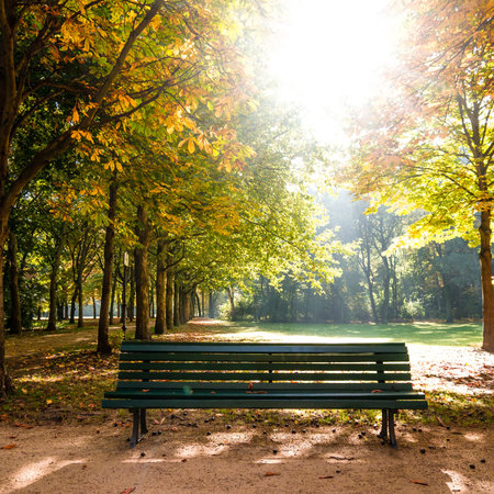 bench in tiergarten berlinの写真素材