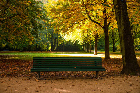 bench in a parkの写真素材
