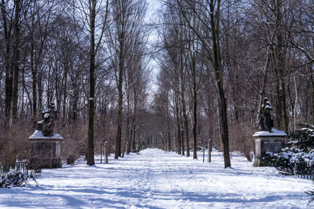 an alley in winter in tiergarten berlinの写真素材