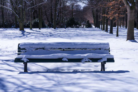 a bench in tiergarten berlin in winterの写真素材