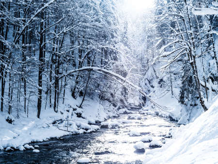 winter landscape in breitachklamm bavaria alpsの写真素材