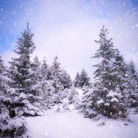 winter landscape with fir trees and snowflakes