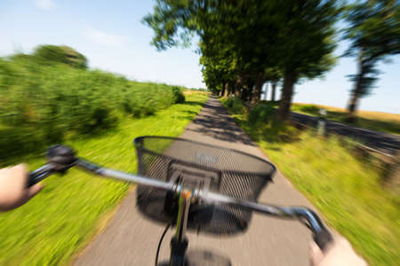 cornfield and a bicycle with bouquet and blue sky in summerの写真素材
