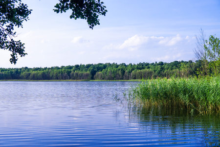 a lake in brandenburg with blue water and blue skyの写真素材