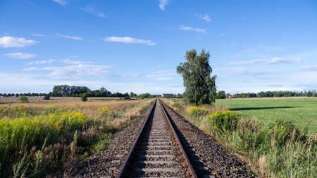 rails in landscape in summer timeの写真素材