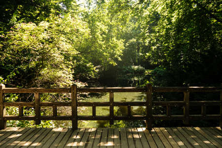 lake in sunlight and a bridge in parkの写真素材